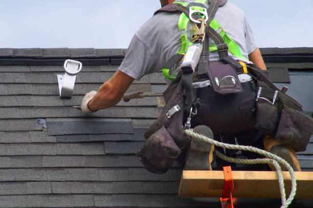 Best Roof Gutter Cleaning  in Marcellus, MI