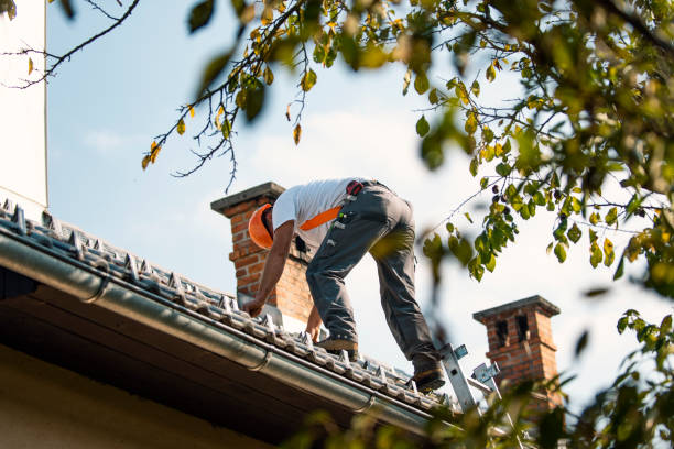 Best Residential Roofing Contractor  in Marcellus, MI
