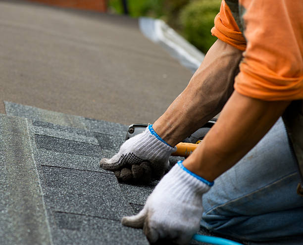 Quick and Trustworthy Emergency Roof Repair Services in Marcellus, MI