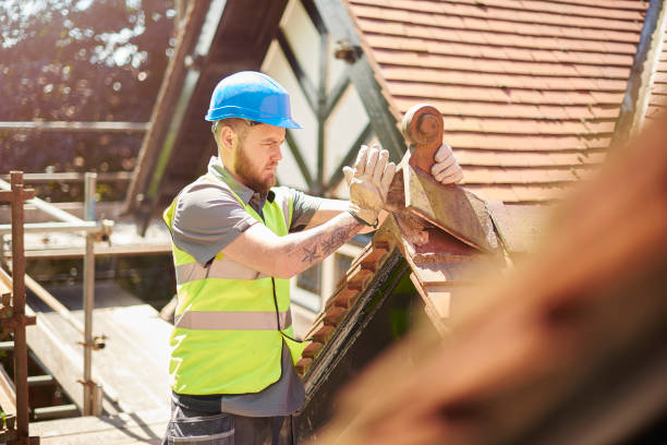 Best Local Roofing Companies  in Marcellus, MI